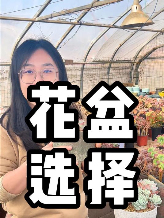 多肉花盆的选择方法