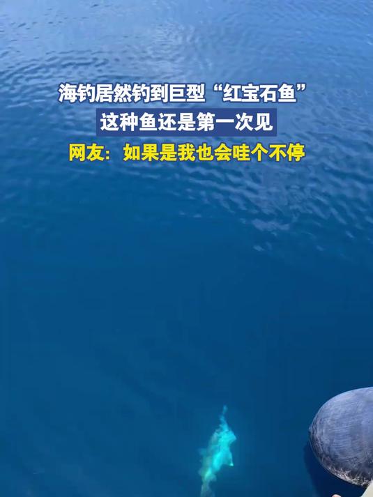 海钓居然钓到巨型“红宝石鱼”，这体型这颜色真是运气爆棚了