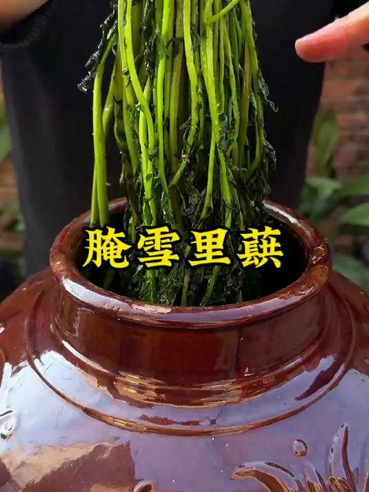 雪里蕻这样腌,颜色翠绿不发黑,简单又耐放,吃一年都不会坏