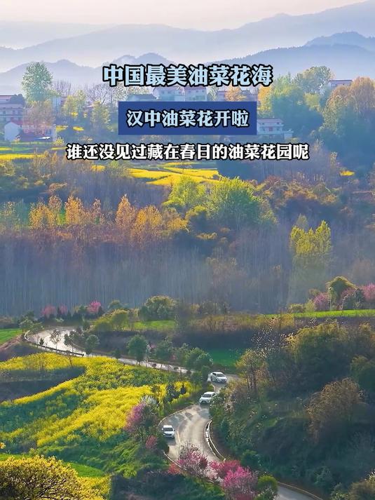 中国最美油菜花海