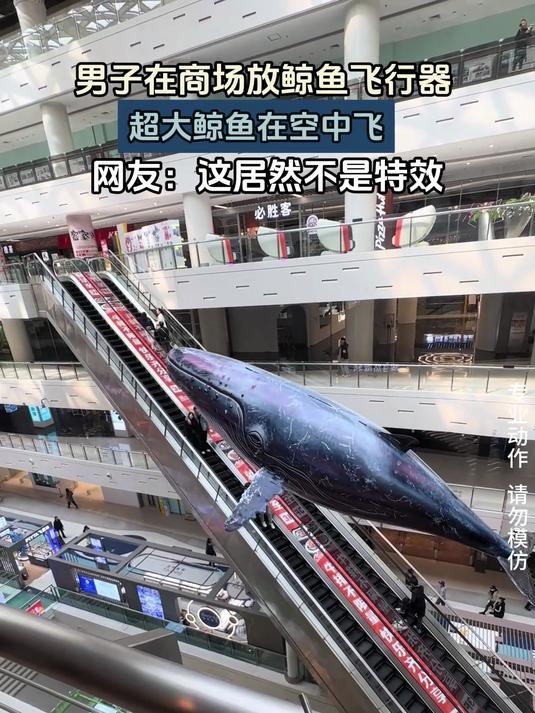 男子在商场放鲸鱼飞行器,超大鲸鱼在空中飞
