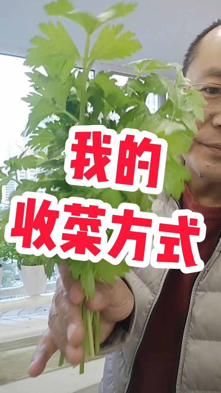 我的收菜方式