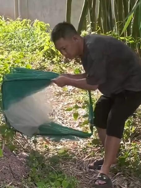 渔网捕虾网捉鱼工具可折叠河虾笼子螃蟹黄鳝泥鳅龙虾笼鱼网虾笼