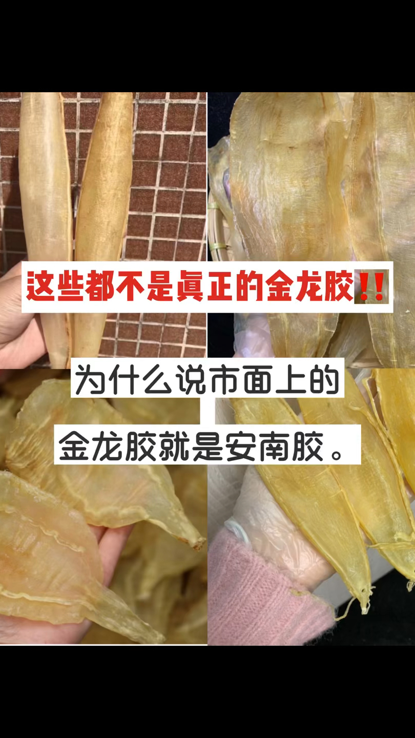 安南胶你了解吗?别再把金龙胶当成安南胶了。