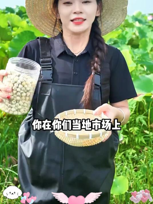 莲子精选高品质大莲子正宗无硫干货去皮无芯