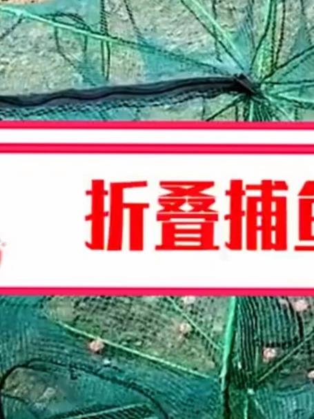 可折叠鱼笼，放入饵料，鱼儿自动往里钻