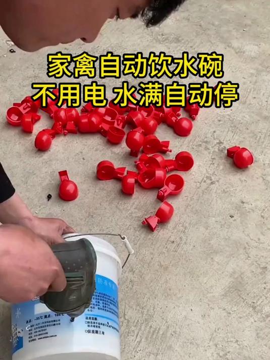 原来想要鸡鸭一直喝到干净卫生的水，一点也不难，靠这个饮水器就能搞定