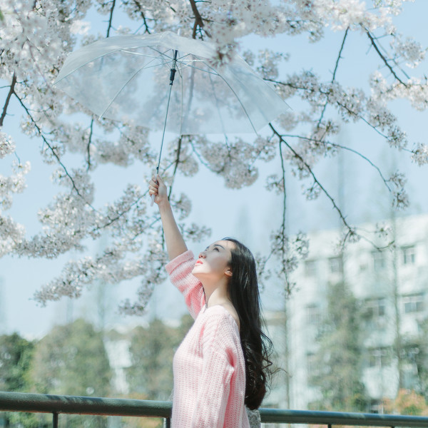 图片[12]-樱花再见-六色网