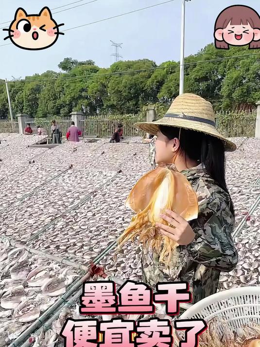 淡晒墨鱼干追求高品质的可以看下这款墨鱼肉质厚实颜色好看