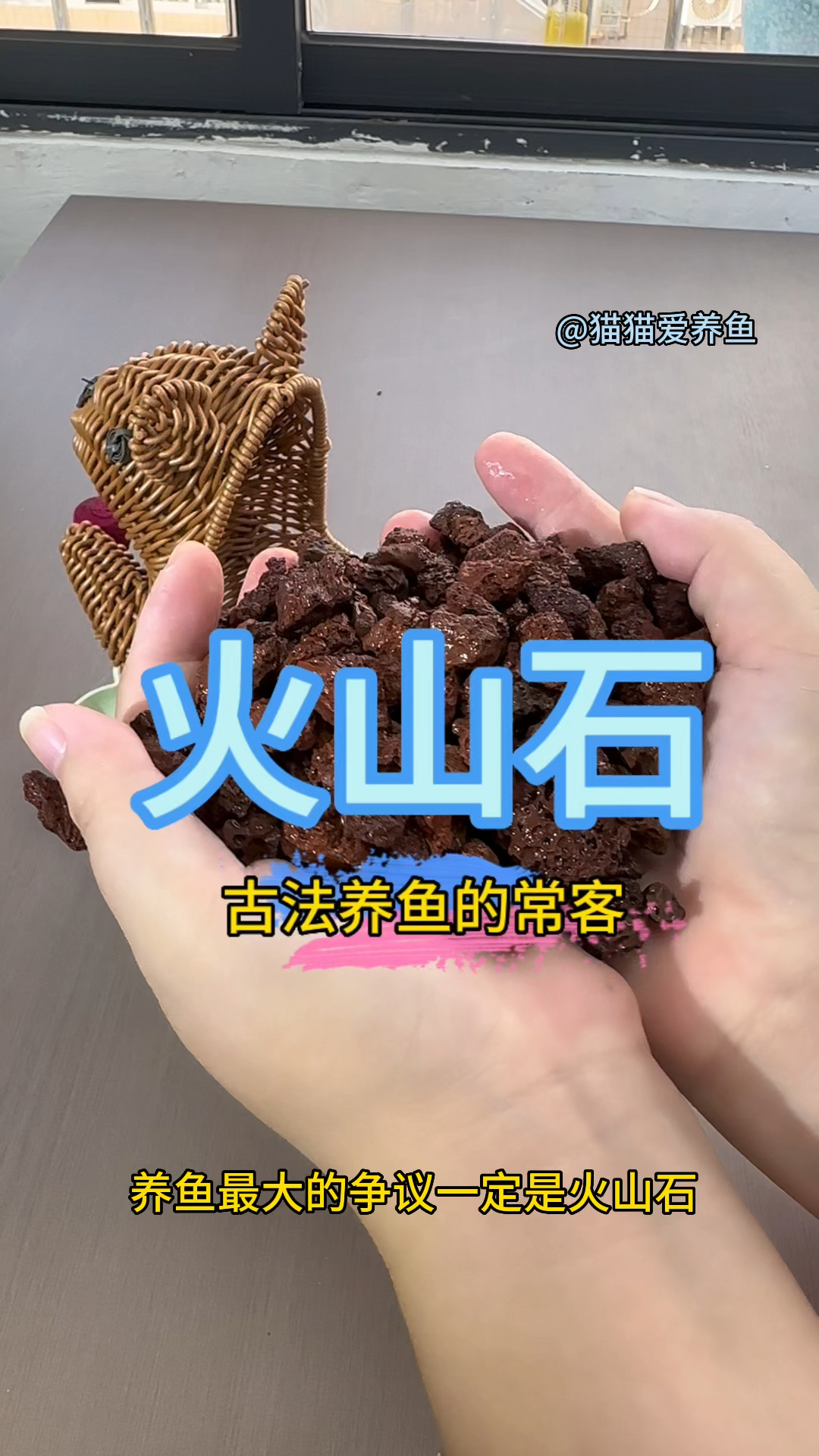养鱼你用火山石吗?其实火山石作用多,可做底沙可当滤材,特别适合古法养鱼