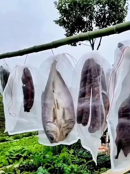 这款晒肉网袋绝了 防虫透气 腊肉火腿鱼干随便晒