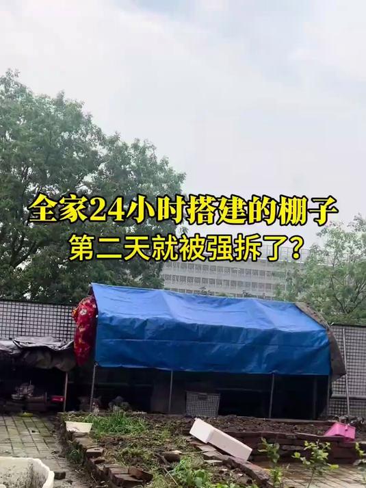 费时一整天动员全家搭建的户外鸡棚