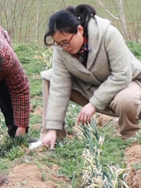 春天的野菜里面条菜可是不能错过的美味多挖些做蒸菜吃