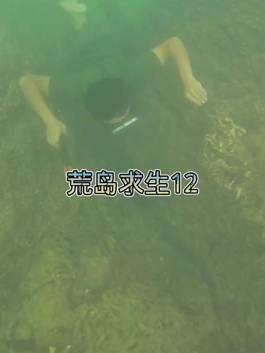 今天风平浪静!制作鱼叉潜水抓鱼!海底世界真的太美了!
