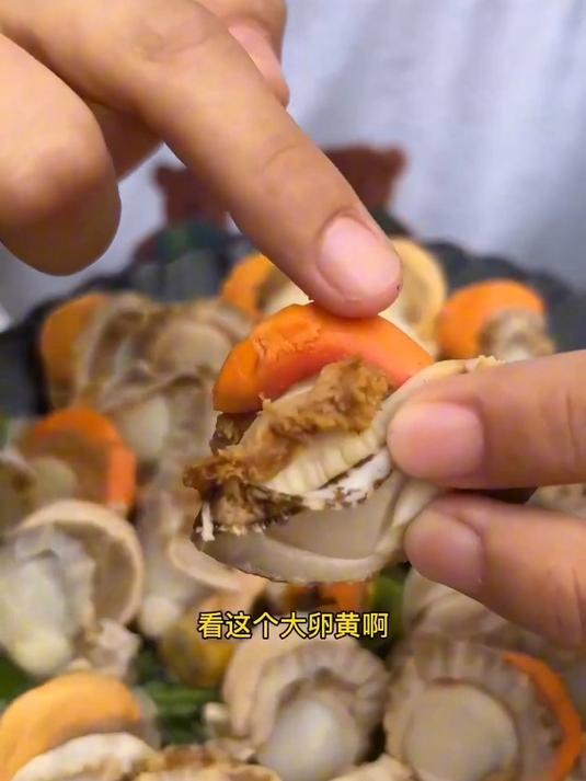 扇贝肉鲜,呈现美味新体验