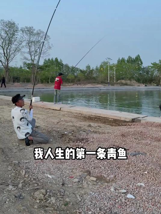 兄弟们这青鱼的拉力也太爽了吧!