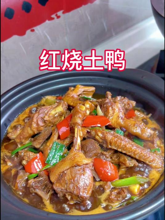 红烧土鸭