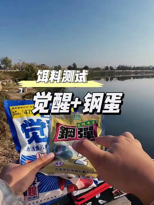秋季野钓又一款爆护配方？觉醒加钢蛋！鱼货翻一半？