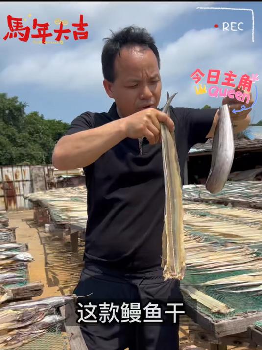 新晒风干鳗鱼中段#鳗鱼干 好吃不贵油煎、清蒸、辣炒好吃入味!