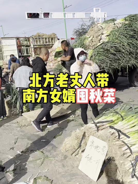 北方老丈人带南方女婿囤秋菜