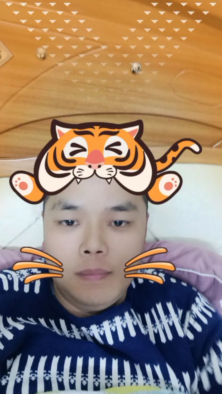 东风日产启辰