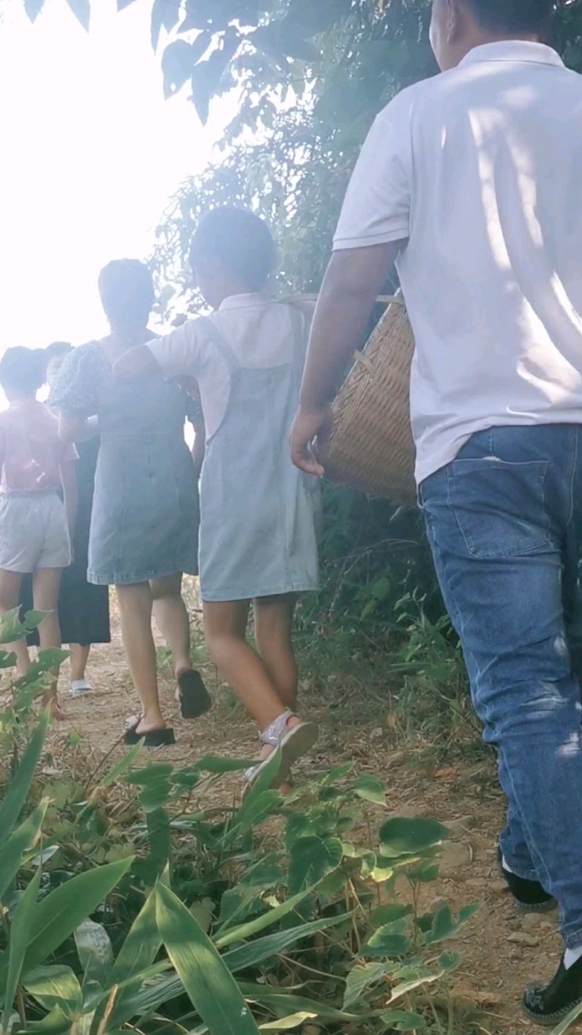 听说凉粉果也分公母,你看我们摘得是哪种?