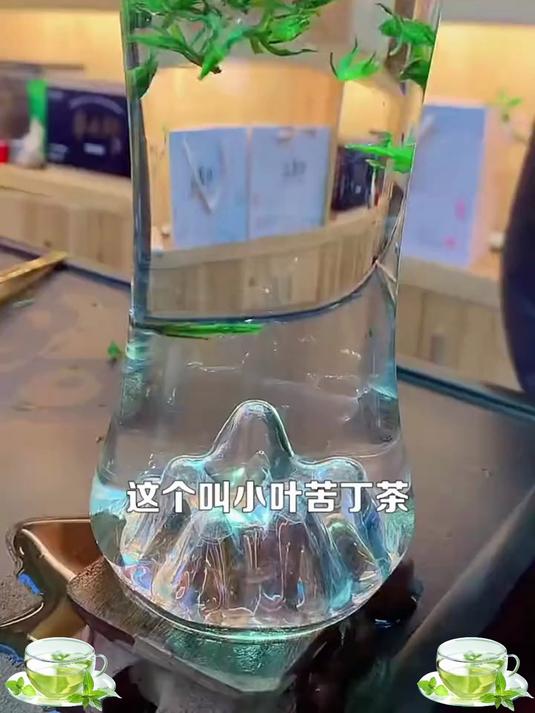 怕上火？日常喝小叶苦丁茶，清热降火不折腾