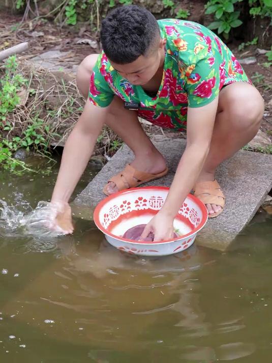 今天用三娃子的猪肝做一道木耳菜炒猪肝,这个菜你们吃过没有