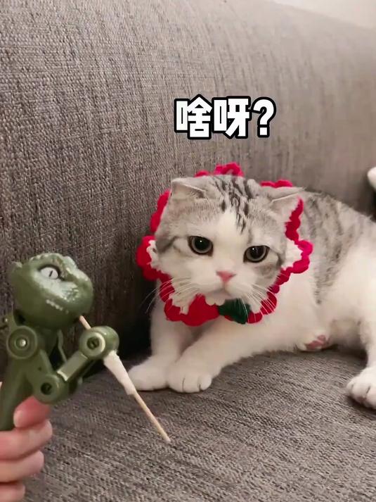 在恐龙嘴里抢吃的，还摸了摸人家的头