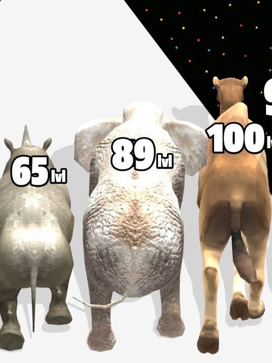 动物进化,我要从一只小鸡进化成动物之王