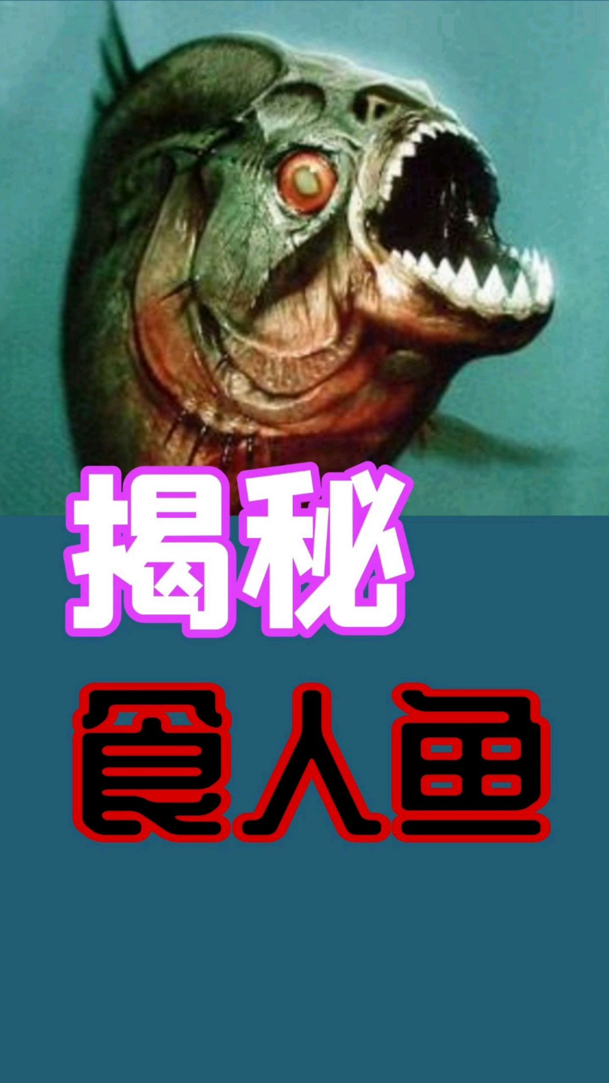 食人鱼真的会吃人么?