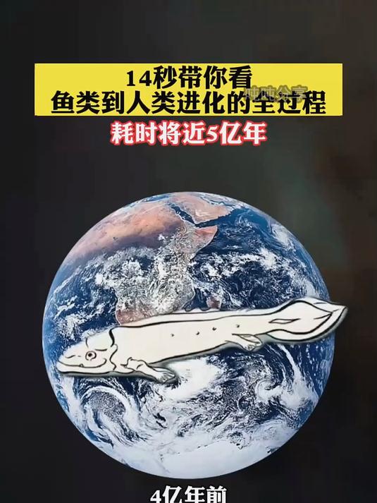 14秒带你看鱼类到人类进化的全过程，耗时将近5亿年！