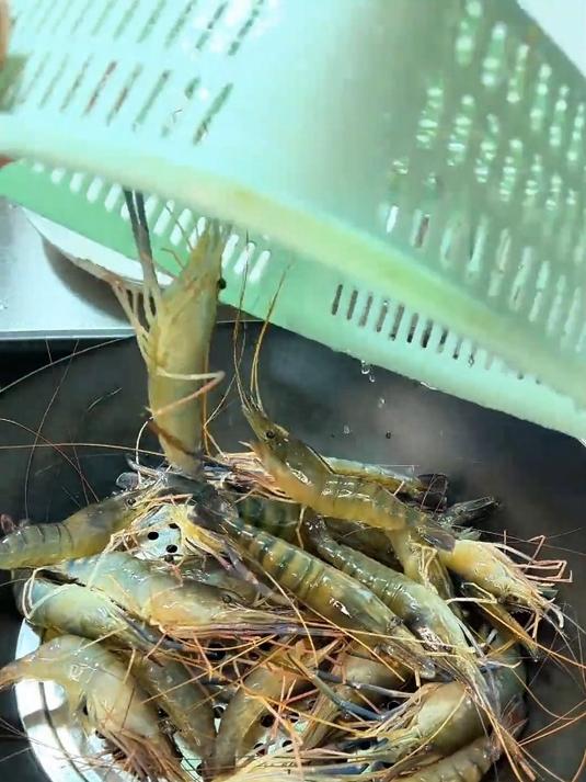这盘罗氏虾除了贵点,挑不出任何毛病,你们那里多少钱一斤?
