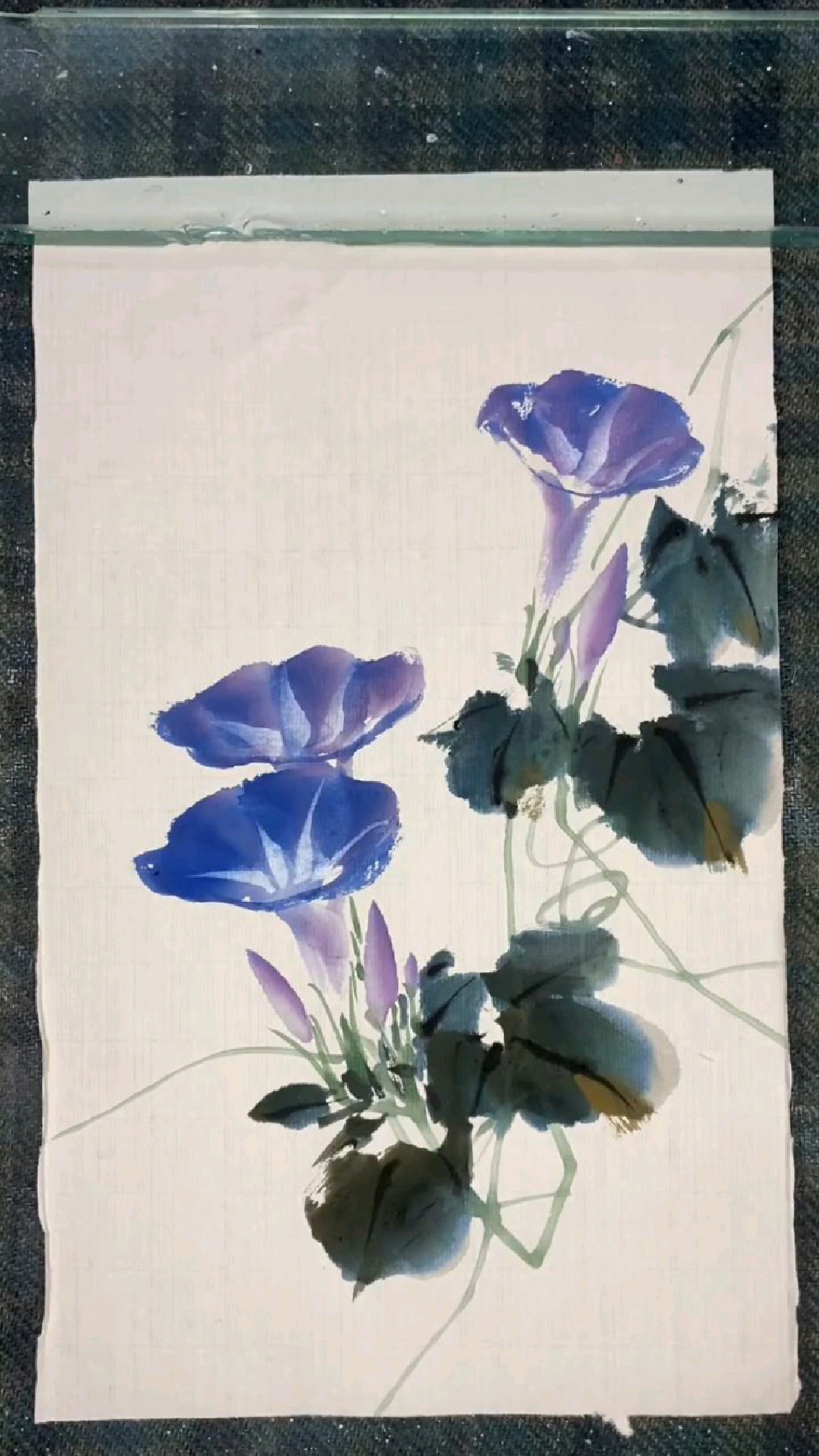 牵牛花的画法