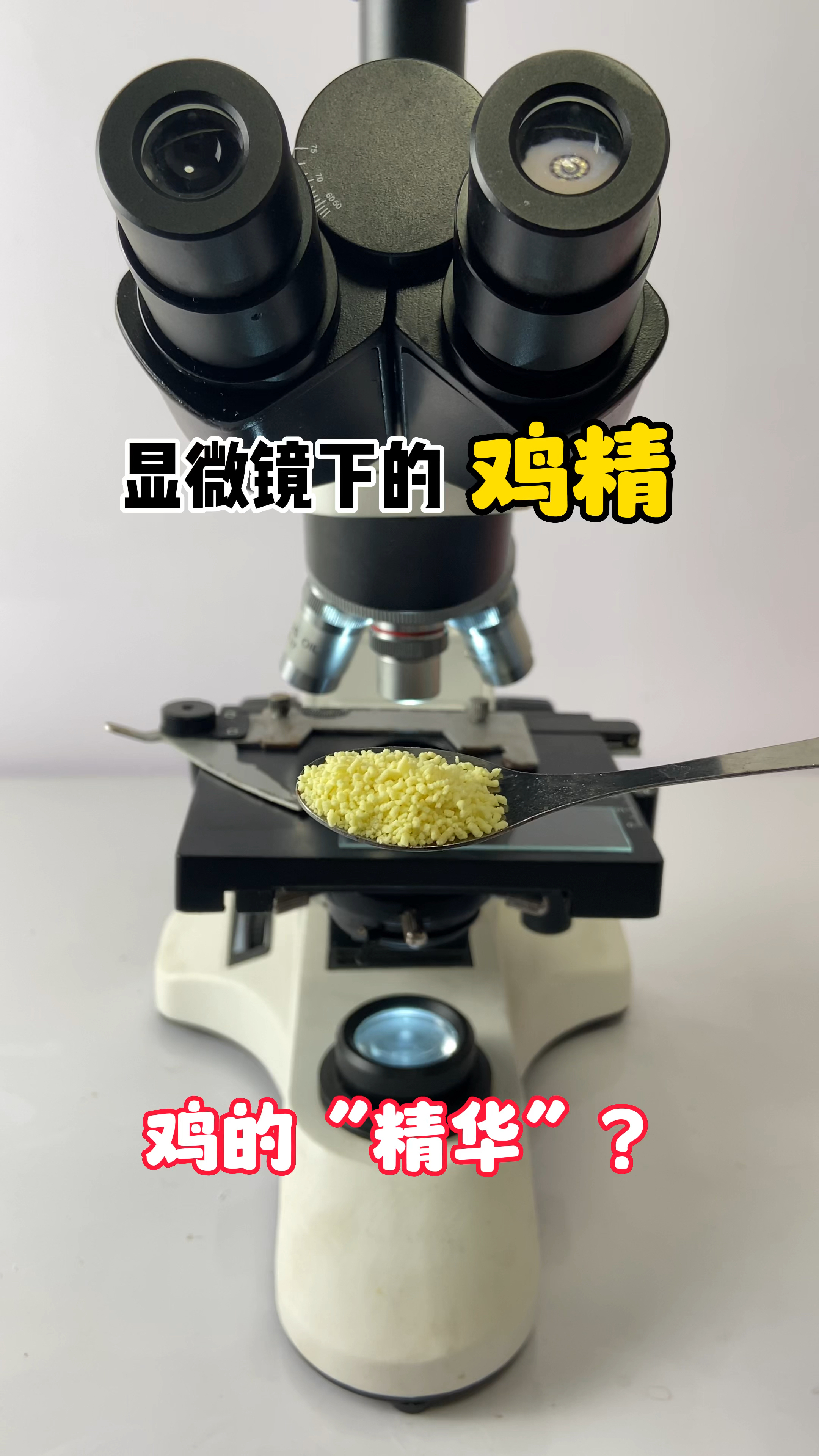 显微镜下的鸡精看看是什么样子的