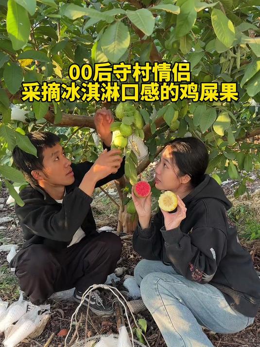 吃起来像冰淇淋口感一样的芭乐你们都吃过吗？