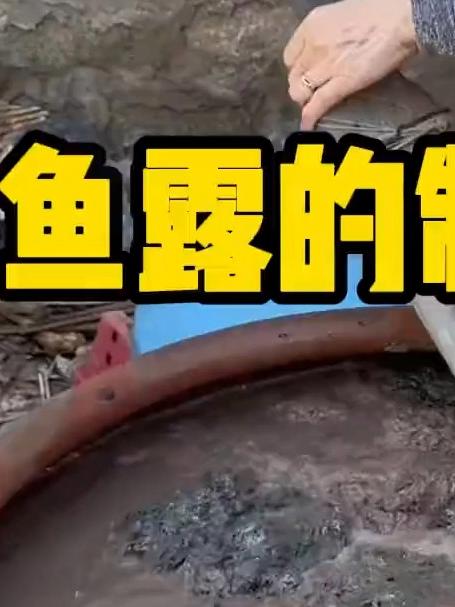 鱼露的制作过程，需要发酵一两年左右才能完成
