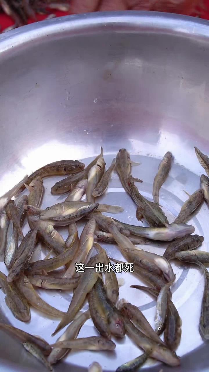 奶奶做的酸辣小黄鱼汤 味美汤鲜 快来尝尝吧