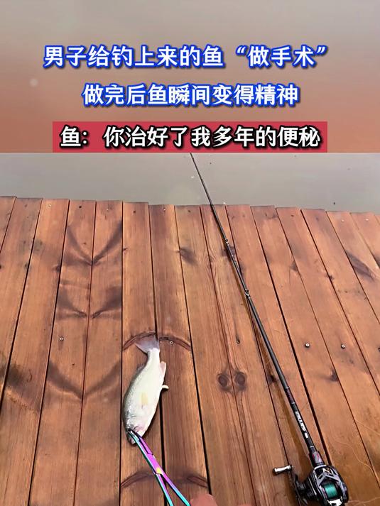 男子给钓上来的鱼“做手术”,做完后鱼瞬间变得精神