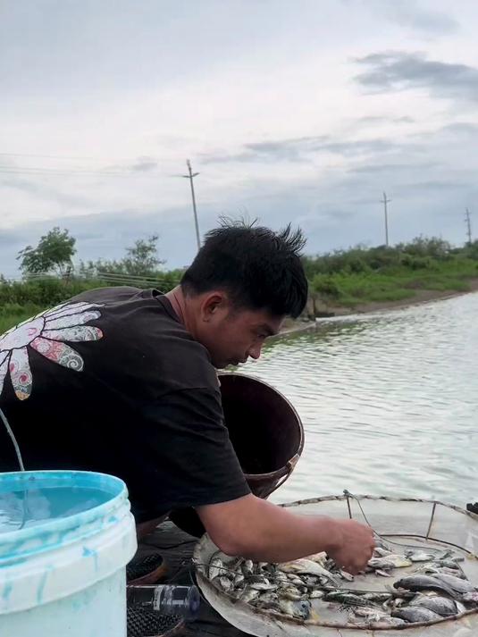 泥鱼也叫海鯰鱼,营养价值非常的高!