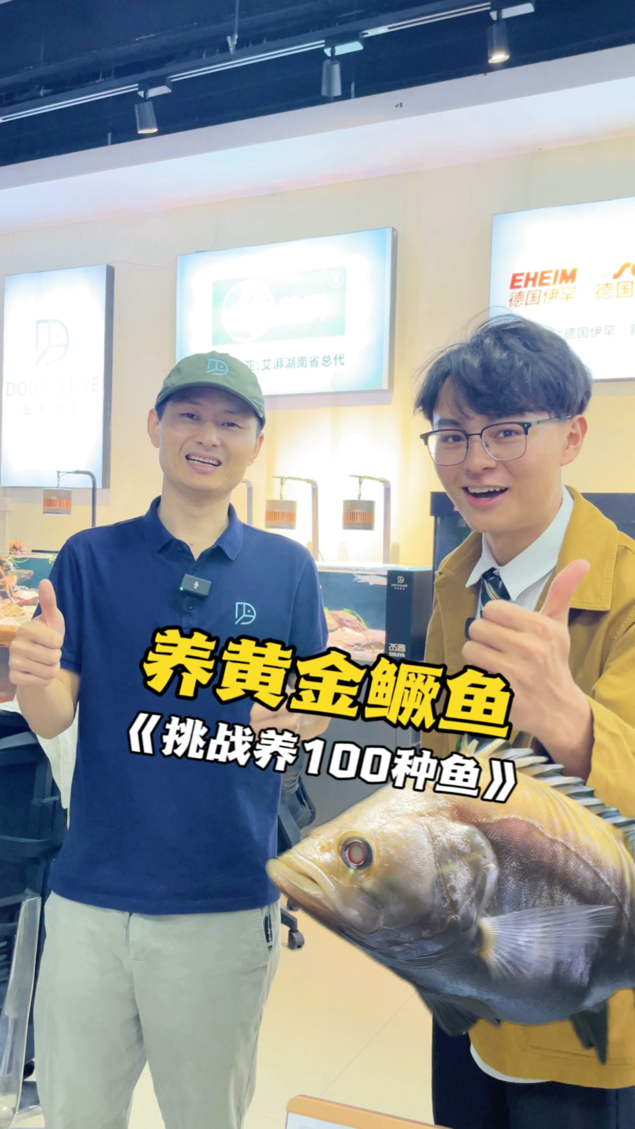 有一位神秘大佬要送我一条黄金鳜鱼,随便挑?