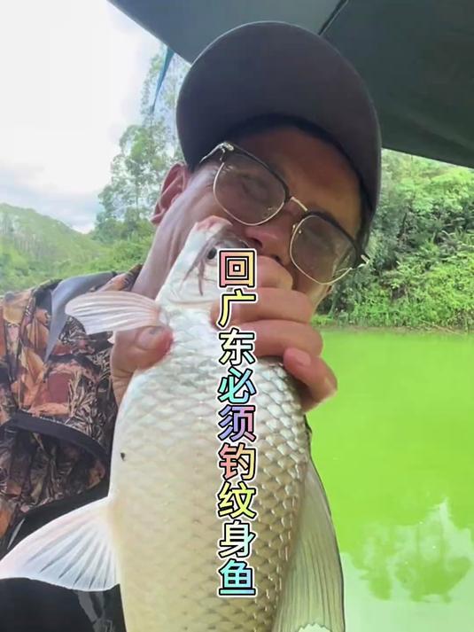 广东最好玩的鱼那肯定是土鲮咯,必须钓一场,手感太爽,太刺激了