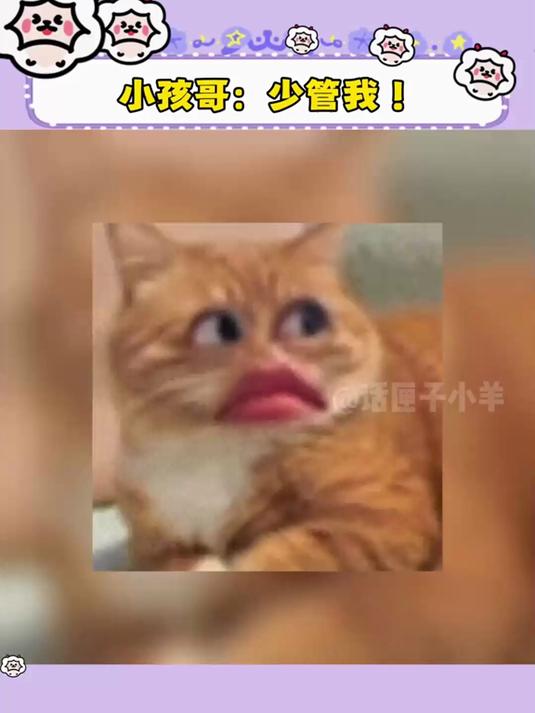 小孩哥:少管我!(cr:鲤鱼ace(皓皓))