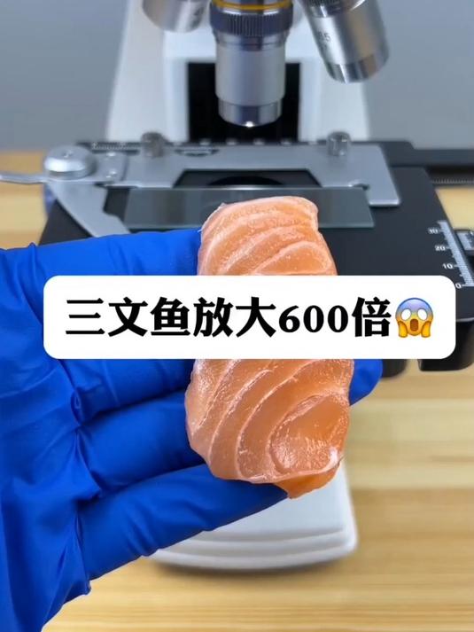 三文鱼真有寄生虫吗?