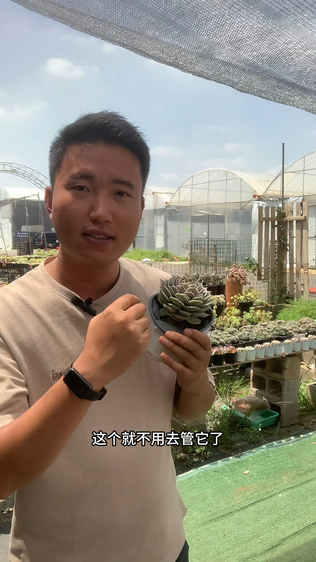 多肉叶片发软是水浇少了吗?