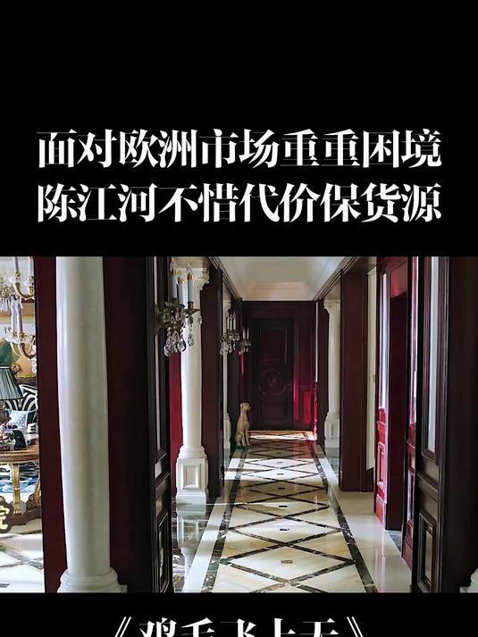 鸡毛飞上天：面对欧洲市场重重困境，陈江河不惜代价保货源