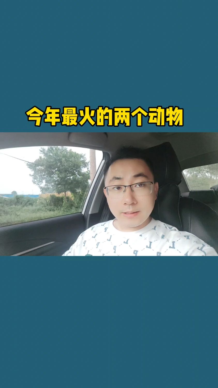 今年最火的两个动物你知道是什么吗