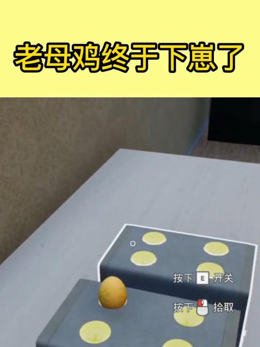 养了一年的母鸡终于下蛋了……