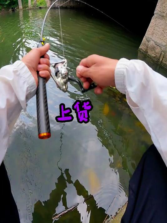 只要出来溜达一圈那就不会打龟的