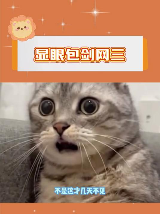 几天不见,剑网三成了这么大个显眼包